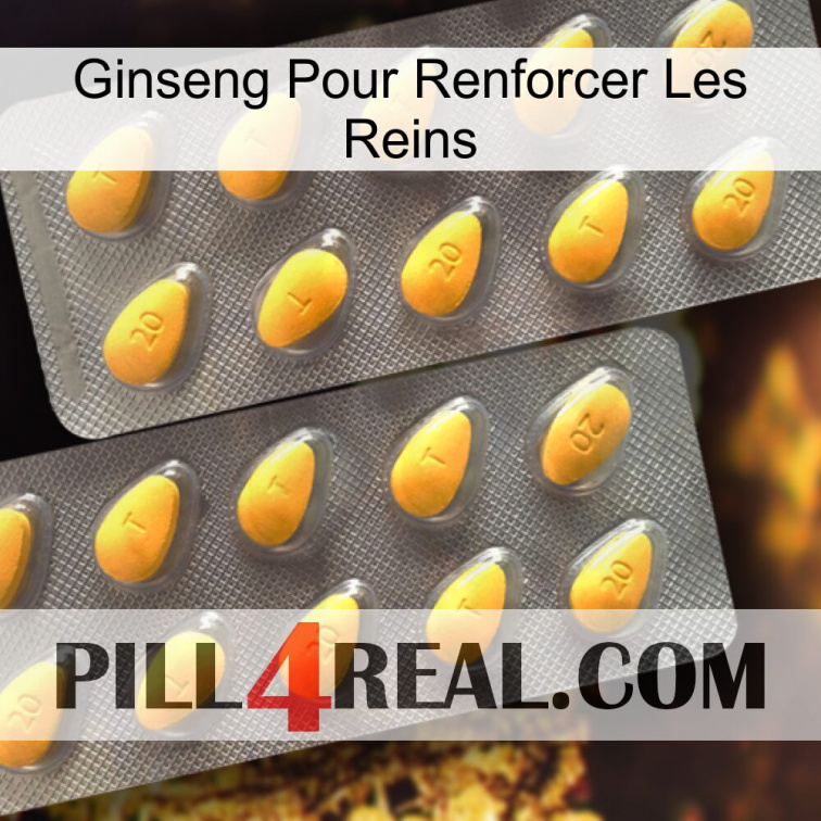Ginseng For Reinforcing Kidney cialis2
